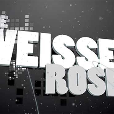 Die weisse Rose
